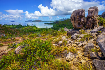 hikink through the jungle on curieuse island on the seychelles - obrazy, fototapety, plakaty