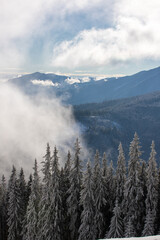 Fototapeta premium clouds floating on the mountain