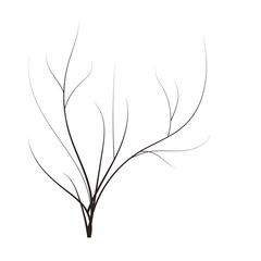 bald handdraw tree vector illustration element for game design. winter tree without crown. dead tree
