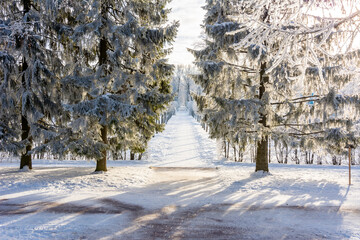 Catherine park in winter, Tsarskoe Selo (Pushkin), St. Petersburg, Russia