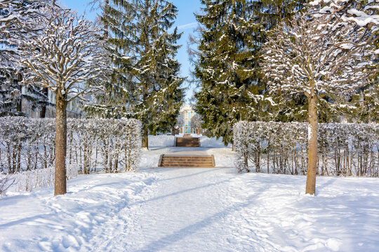 Alley in Catherine park in winter, Tsarskoe Selo (Pushkin), Saint Petersburg, Russia
