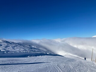 neve