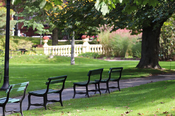 Beautiful sunny day at a park in Halifax with lush trees, a row of benches and no people - obrazy, fototapety, plakaty