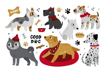 Cute cartoon dogs. Different pet breeds, funny animals characters, happy bull terrier, corgi, labrador and dalmatian with accessories collars childish collection, vector puppies set