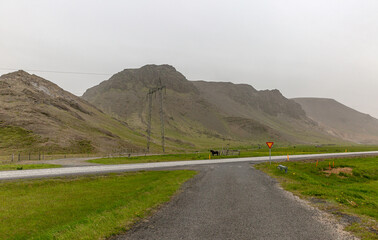 Crosses represent 52 people