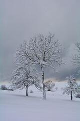 Wintertime  - Landscape with deep snow