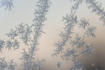 Frosty morning and frost (snowflakes) on the window.