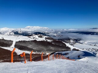 neve