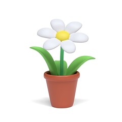 Cartoon white daisy in a pot on a white background. Clipping path. 3D image