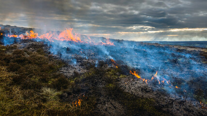 Burning heather as management of moorland, Yorkshire, UK. - obrazy, fototapety, plakaty
