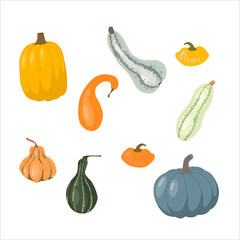 Set of pumpkin of various shapes and colors isolated on white. Harvest Elements. Thanksgiving and Halloween Elements.
