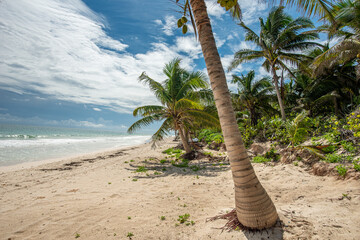 Tulum wild beach near to Cancun - Mexico