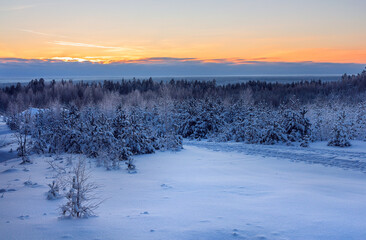 Winter sunset. Natural landscape with trees under the snow.