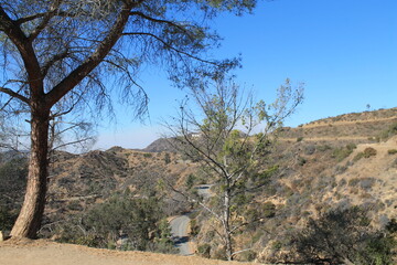 Fototapeta premium Trail of Hollywood Sign