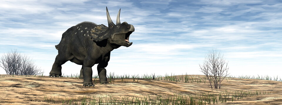 Diceratops nedoceratops dinosaur in the desert - 3D render