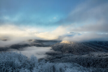 Foggy winter mountain landscape. Winter forest with pine trees covered by snow