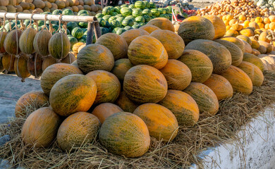 Uzbekistan, city of Bukhara, honeydew melons on the weekly market.