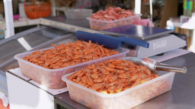 Boiled Red Shrimps Lie are in Plastic Boxes for Sale on Open Counter on Market. Selling seafood at street stalls. Retail trade, small business. Weighed products. Open showcase. Slow motion.
