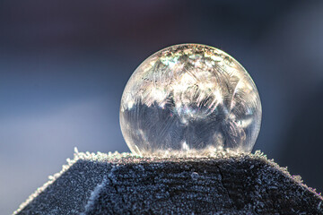Bubble