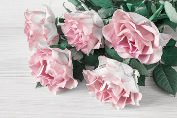 bouquet of pink roses on a white wooden background for mother's day or valentine's day design