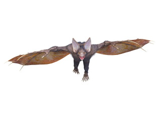 モンスターコウモリ