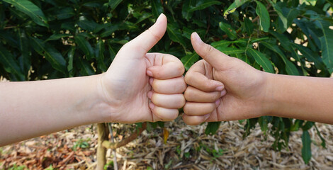 Thumbs up to show success in teamwork.