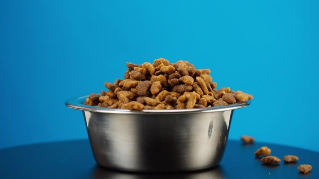 Pouring Dry Dog Food Into Metal Bowl Close-up. Granules Falling Into Dish On Blue Background. Feeding Domestic Animals, Treats For Puppies. Crunchy Meal For Pedigree Cats. Pet Shop And Delivery.