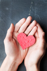 Fototapeta premium hands holding heart