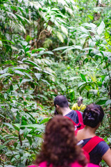 Obraz premium People hiking into the jungle