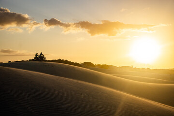 People hanging out in a sand dune on summer