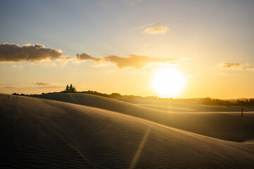 People hanging out in a sand dune on summer