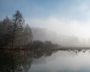 misty morning on the lake