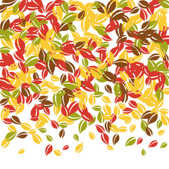 Falling autumn leaves. Red, yellow, green, brown c