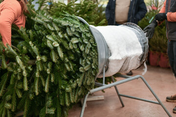 Salesman being wrapped up a Christmas tree packed in a plastic net