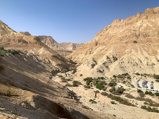 Fototapeta na wymiar Nahal Arugot - a gorge in the Judean Desert