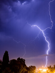 Bright lightning sparkles with a beautiful pattern in the evening sky over the city and trees