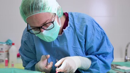 Female Veterinary surgeon operating in the operating room of a veterinary clinic. Vet doing surgery in the clinic. Medicine, pet, animals, health care and people concept. High quality 4k footage - Powered by Adobe