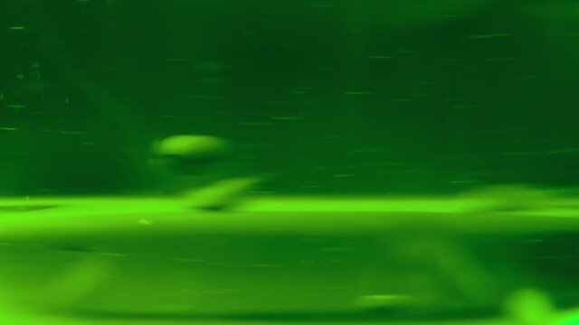 Antifreeze is a non-freezing liquid for cars. Green cooling mixture in motion.