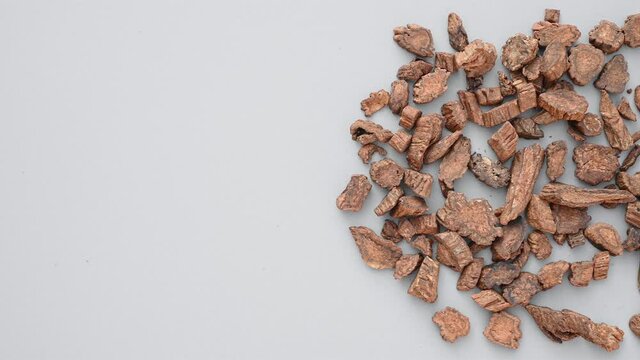 top pan herb JiuXuDuan or Dipsaci Radix or Yellow Rice Wine Processed Asper - like Teasel Root