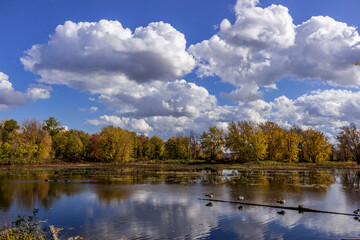 Fototapeta na wymiar Colourful beautiful Autumn landscaping on the lake