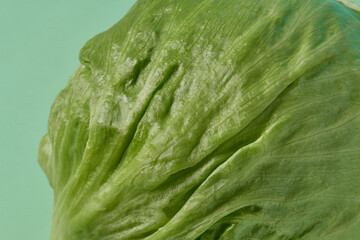 Green tender lettuce on a pastel green background. Family vegetable organic vegetable.
