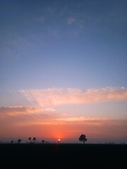 Sunset scenes in field trees Park