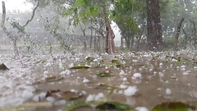Hail storm with ice solid precipitation falling in the floor, surface low angle view of a natural event outdoor