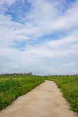 Sunny landscape of the Penghu Island