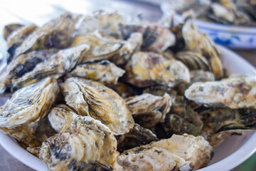 Close up shot of many oyster