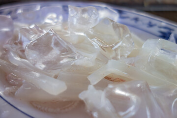 Close up shot of raw squid sashimi