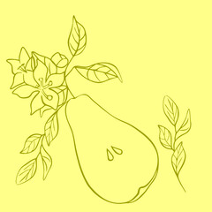 Drawing of a pear on a yellow background, vector illustration of a flowering plant, pear fruit for decoration, contour drawing of a fruit, sketch waiting for a label