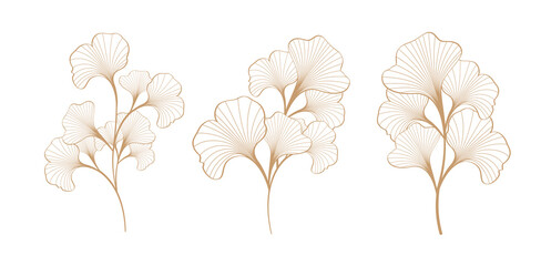 gold color ginkgo leaf plant stub vector design illustration