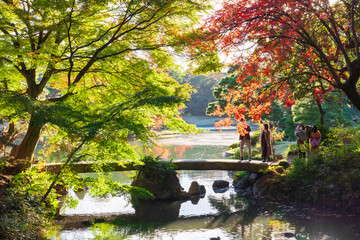 Obraz premium 【東京都】特別名勝 秋の六義園渡月橋
