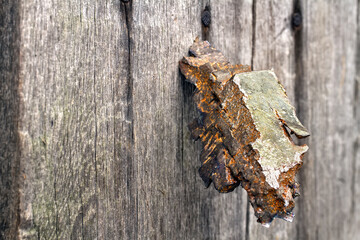 Guns close-up. A fragment of an artillery shell against the background of old wood.